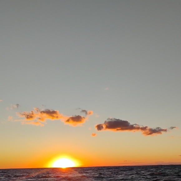 🧥 Career Jacket Laura Ashley WOMAN 3X Black Textured Blazer or Jacket EPLC - Picture 16 of 16